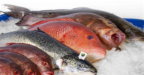 fresh seafood wholesale.